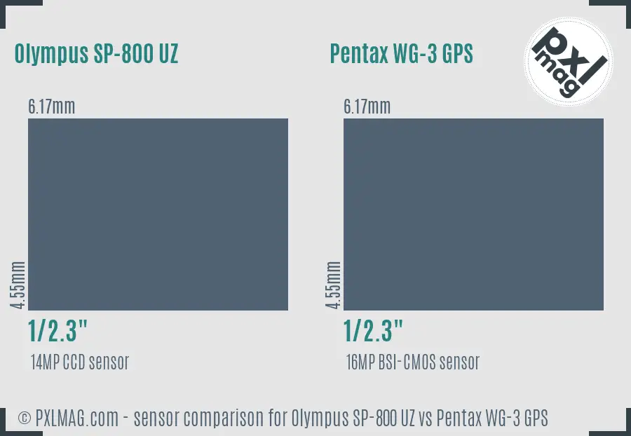 Olympus SP-800 UZ vs Pentax WG-3 GPS sensor size comparison