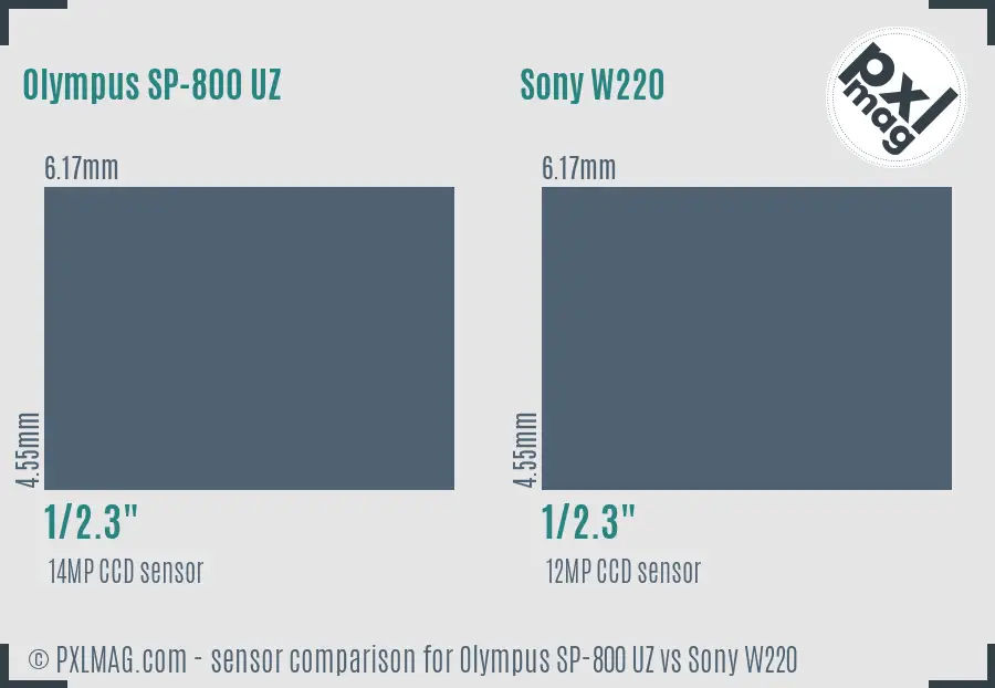 Olympus SP-800 UZ vs Sony W220 sensor size comparison