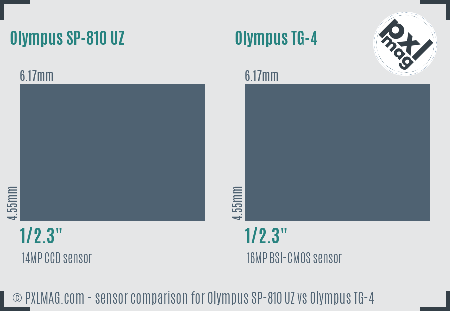 Olympus SP-810 UZ vs Olympus TG-4 sensor size comparison