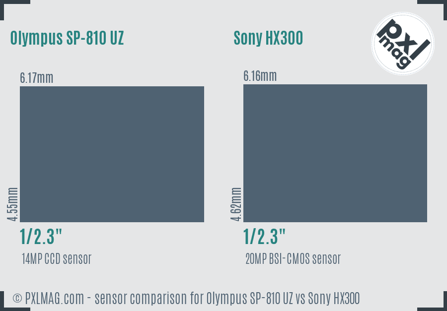 Olympus SP-810 UZ vs Sony HX300 sensor size comparison