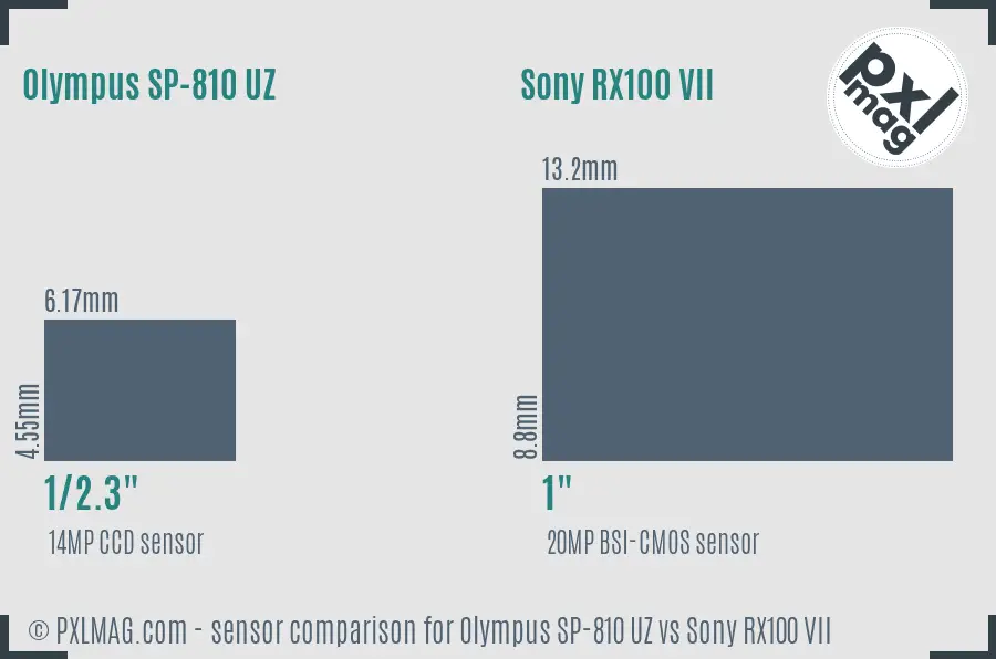 Olympus SP-810 UZ vs Sony RX100 VII sensor size comparison
