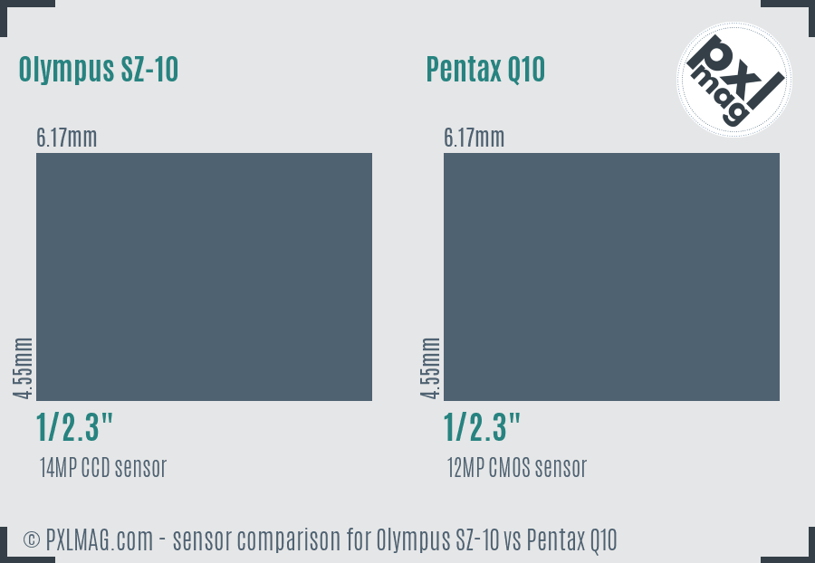 Olympus SZ-10 vs Pentax Q10 sensor size comparison