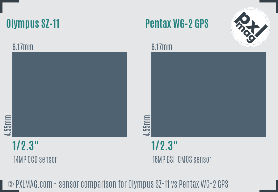 Olympus SZ-11 vs Pentax WG-2 GPS sensor size comparison