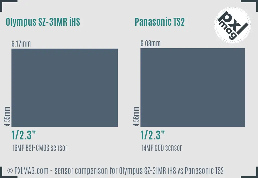 Olympus SZ-31MR iHS vs Panasonic TS2 sensor size comparison