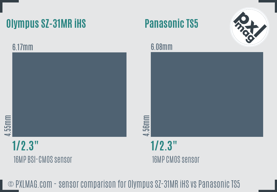 Olympus SZ-31MR iHS vs Panasonic TS5 sensor size comparison