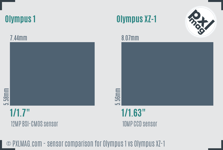 Olympus 1 vs Olympus XZ-1 sensor size comparison