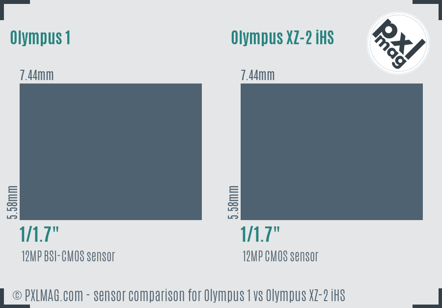 Olympus 1 vs Olympus XZ-2 iHS sensor size comparison