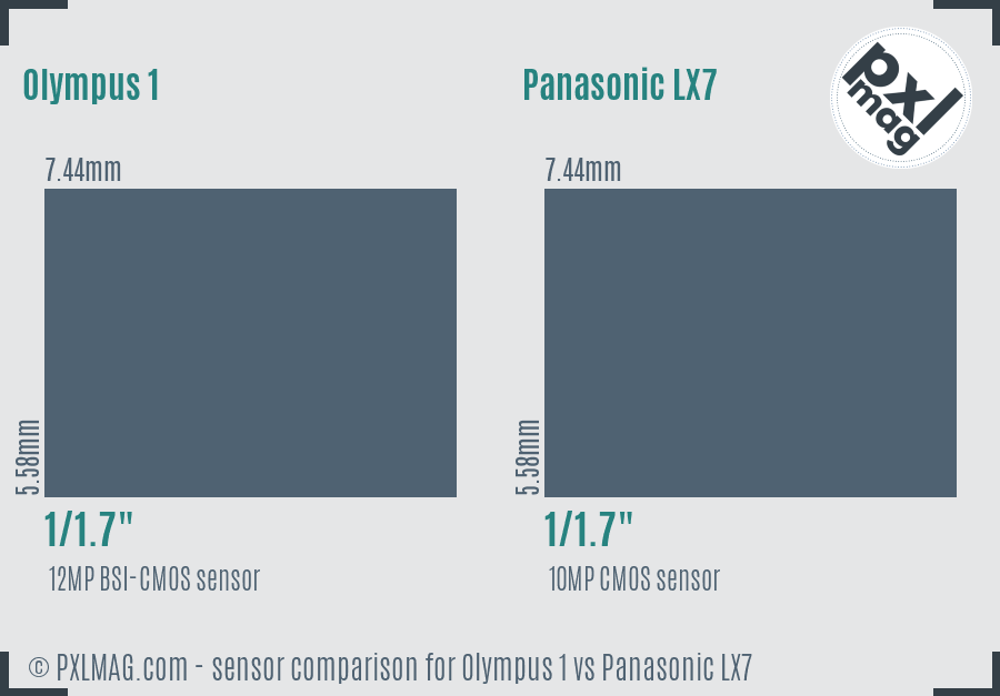 Olympus 1 vs Panasonic LX7 sensor size comparison