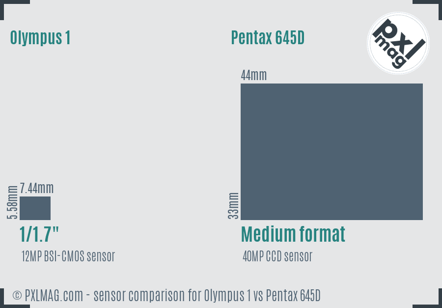Olympus 1 vs Pentax 645D sensor size comparison