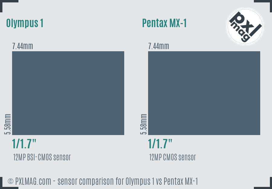 Olympus 1 vs Pentax MX-1 sensor size comparison