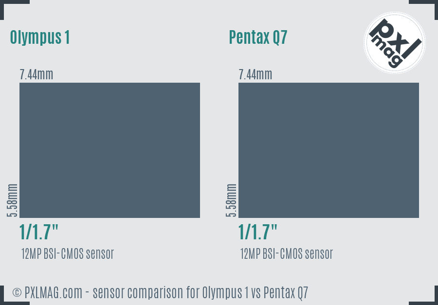 Olympus 1 vs Pentax Q7 sensor size comparison