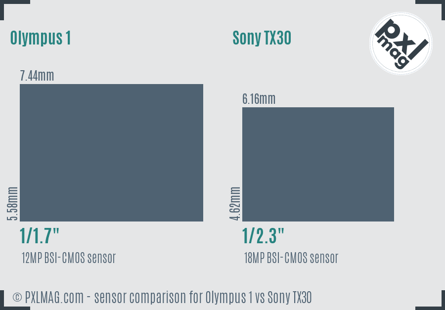 Olympus 1 vs Sony TX30 sensor size comparison Olympus 1 vs Sony TX30 sensor size comparison