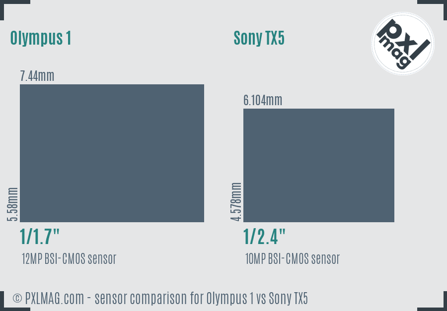 Olympus 1 vs Sony TX5 sensor size comparison