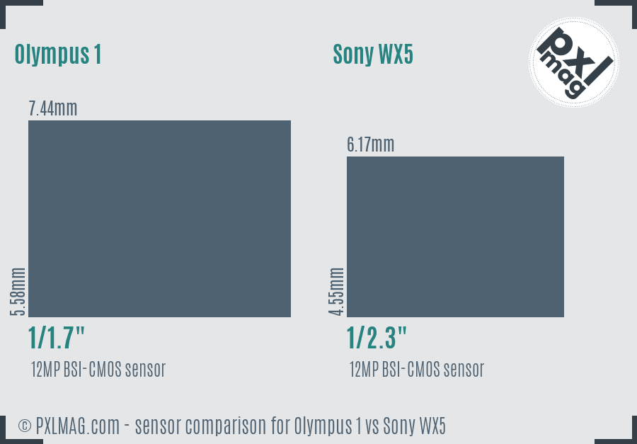 Olympus 1 vs Sony WX5 sensor size comparison