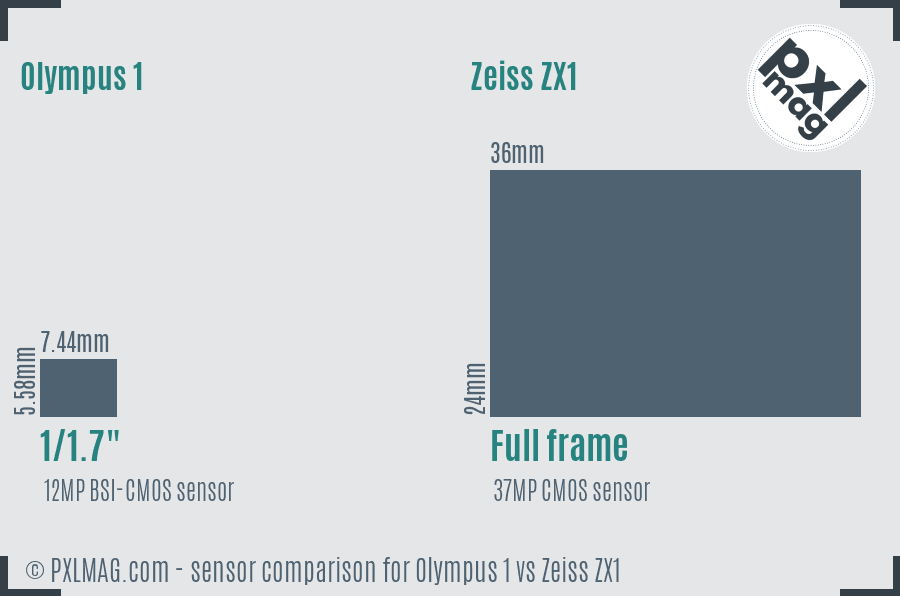 Olympus 1 vs Zeiss ZX1 sensor size comparison