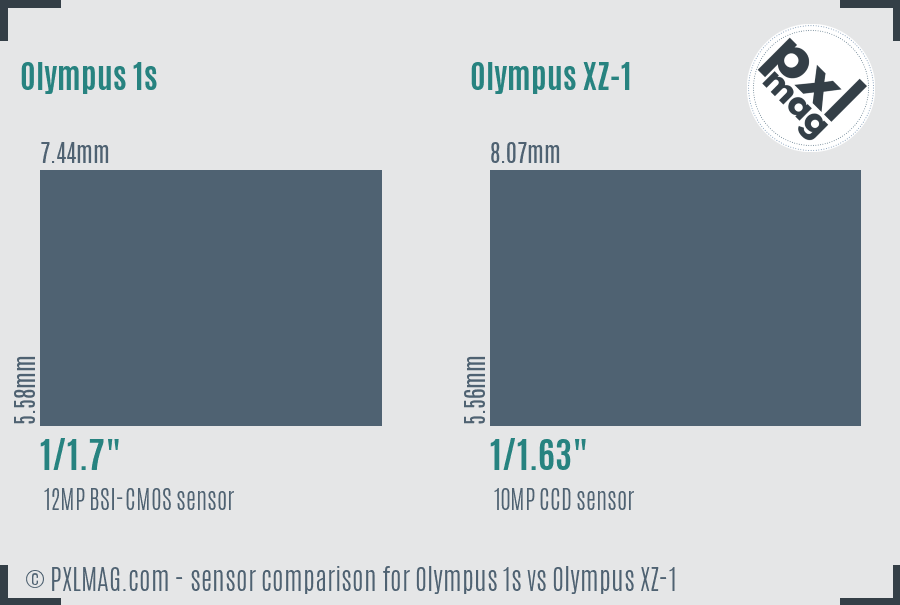 Olympus 1s vs Olympus XZ-1 sensor size comparison