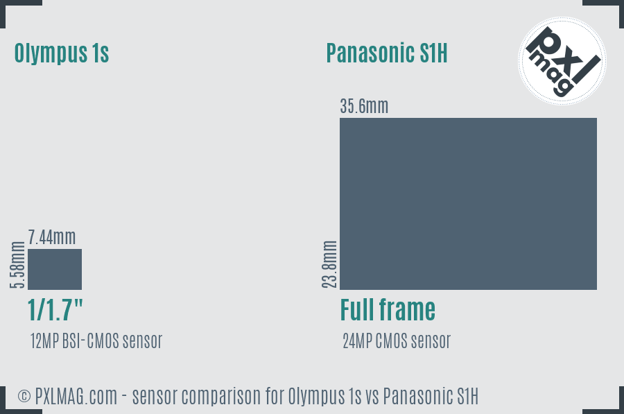 Olympus 1s vs Panasonic S1H sensor size comparison