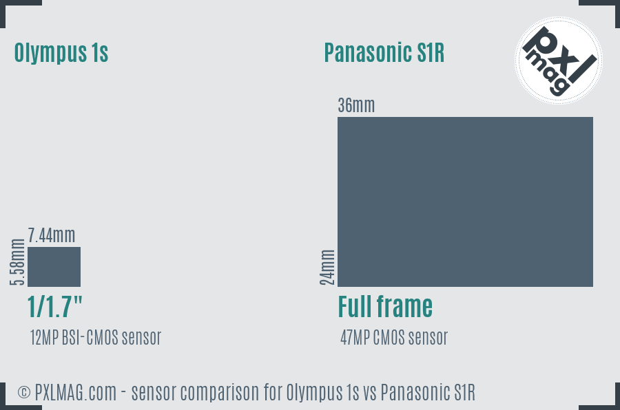 Olympus 1s vs Panasonic S1R sensor size comparison