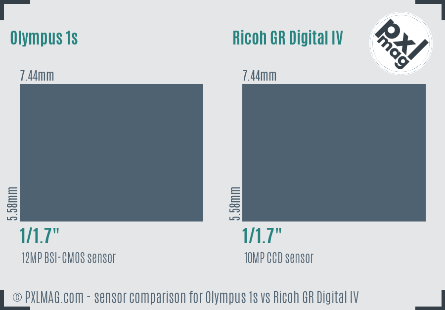Olympus 1s vs Ricoh GR Digital IV sensor size comparison