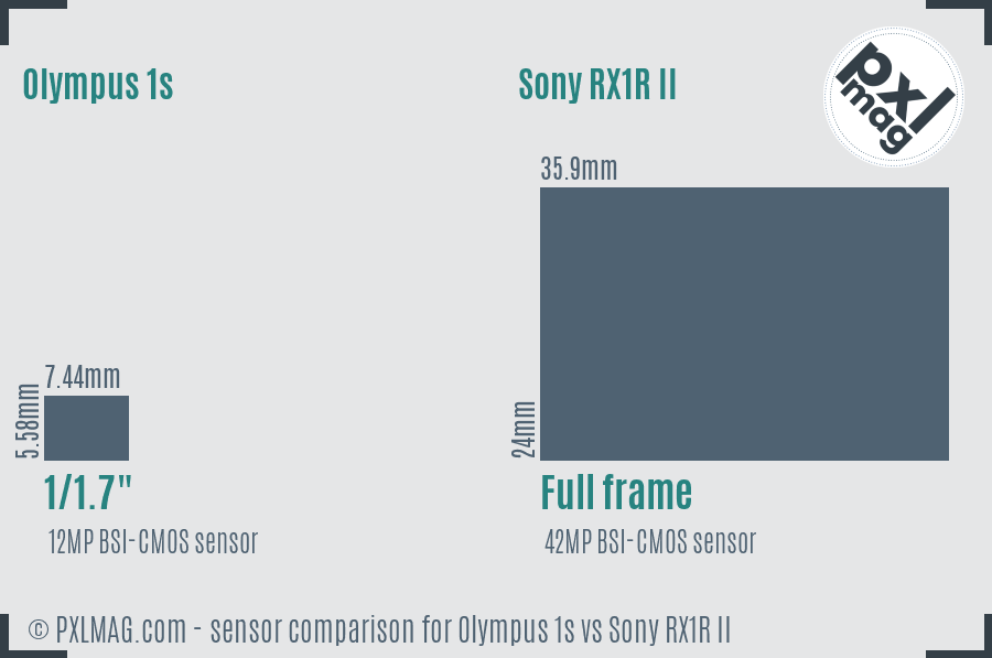 Olympus 1s vs Sony RX1R II sensor size comparison