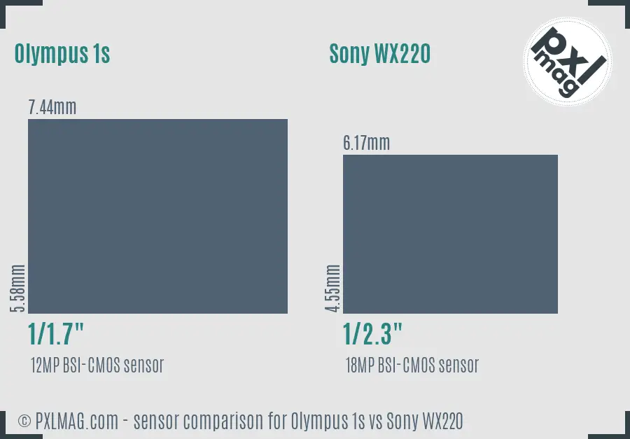 Olympus 1s vs Sony WX220 sensor size comparison