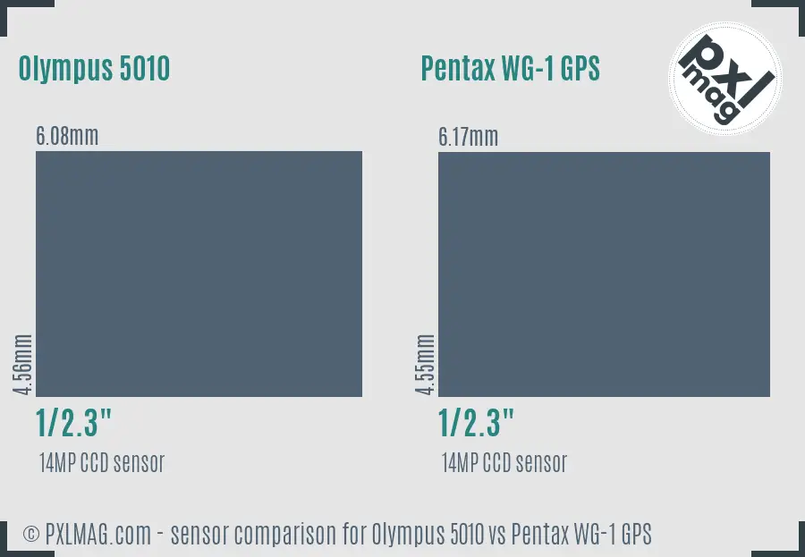 Olympus 5010 vs Pentax WG-1 GPS sensor size comparison