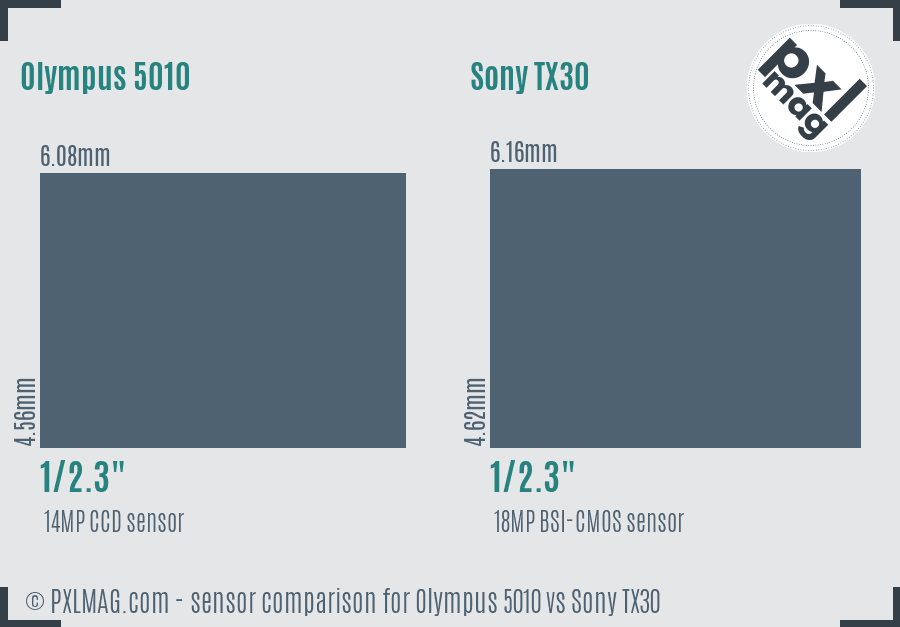 Olympus 5010 vs Sony TX30 sensor size comparison
