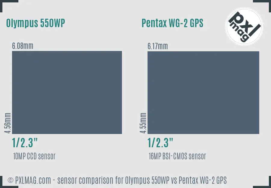 Olympus 550WP vs Pentax WG-2 GPS sensor size comparison