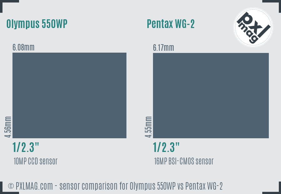 Olympus 550WP vs Pentax WG-2 sensor size comparison