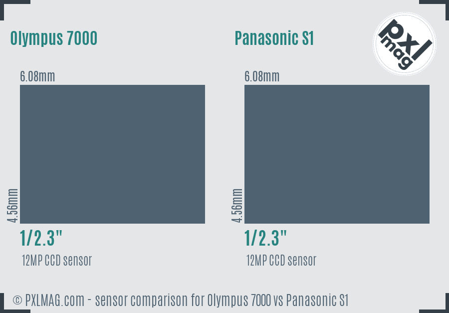 Olympus 7000 vs Panasonic S1 sensor size comparison