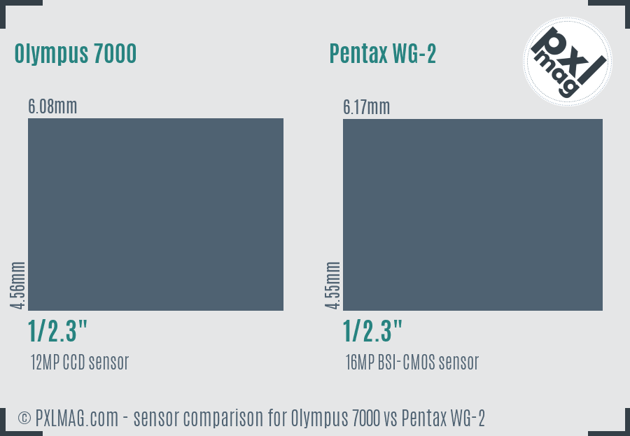 Olympus 7000 vs Pentax WG-2 sensor size comparison