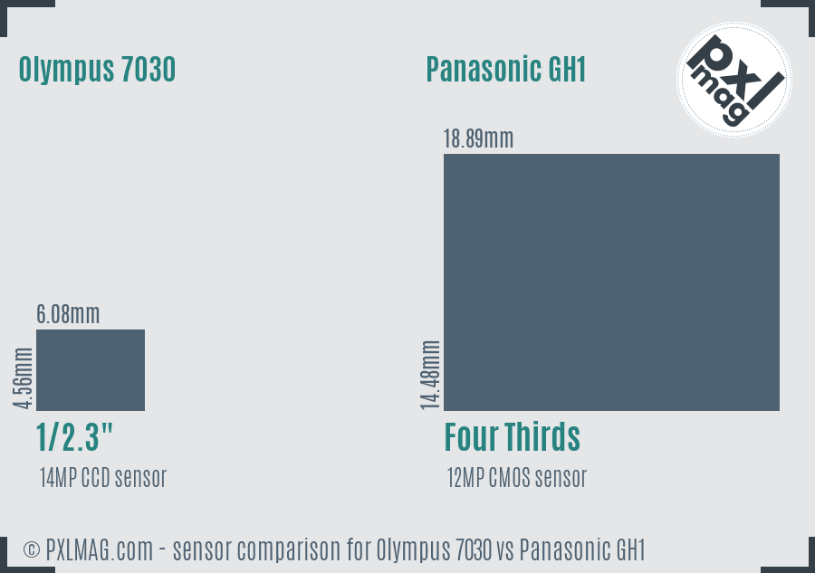 Olympus 7030 vs Panasonic GH1 sensor size comparison