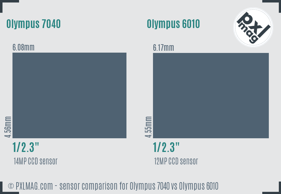 Olympus 7040 vs Olympus 6010 sensor size comparison