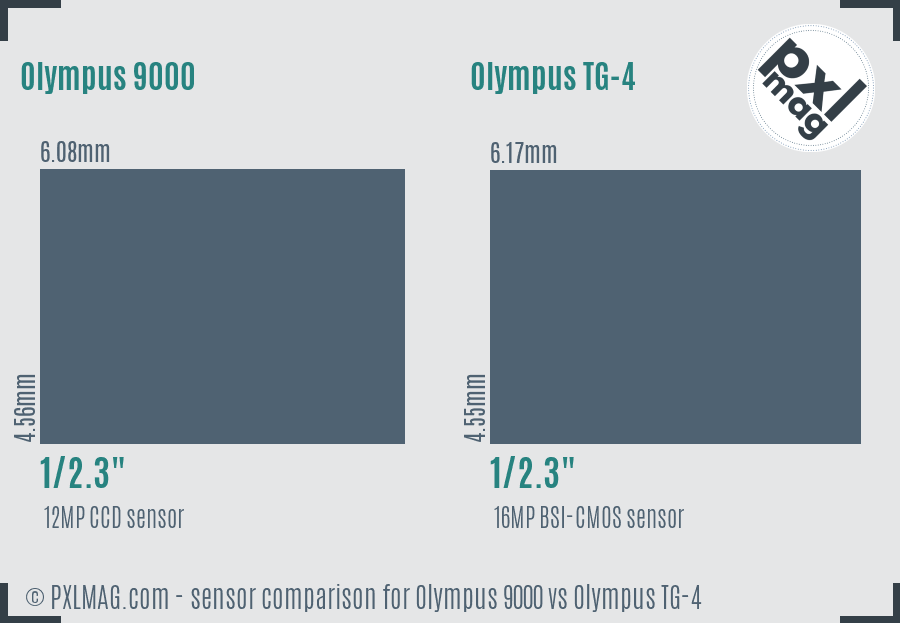Olympus 9000 vs Olympus TG-4 sensor size comparison