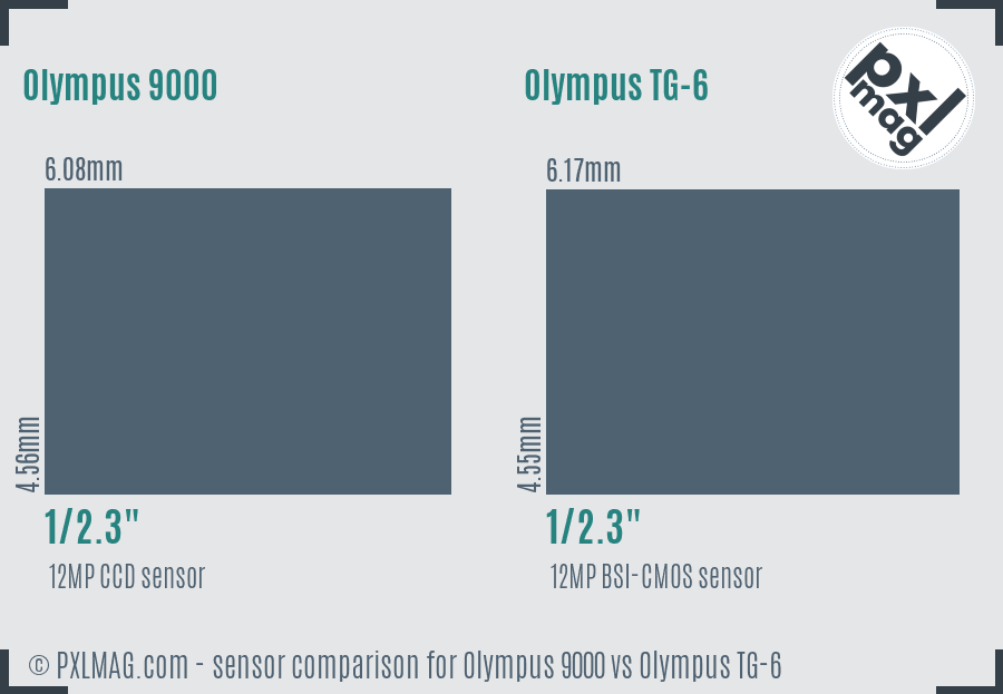 Olympus 9000 vs Olympus TG-6 sensor size comparison