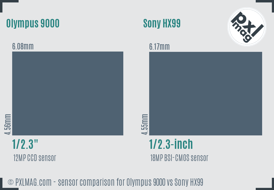 Olympus 9000 vs Sony HX99 sensor size comparison