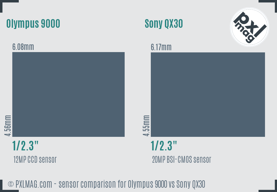 Olympus 9000 vs Sony QX30 sensor size comparison