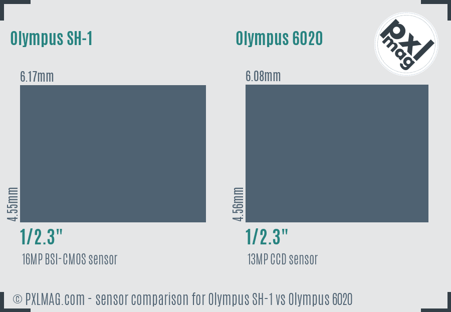 Olympus SH-1 vs Olympus 6020 sensor size comparison