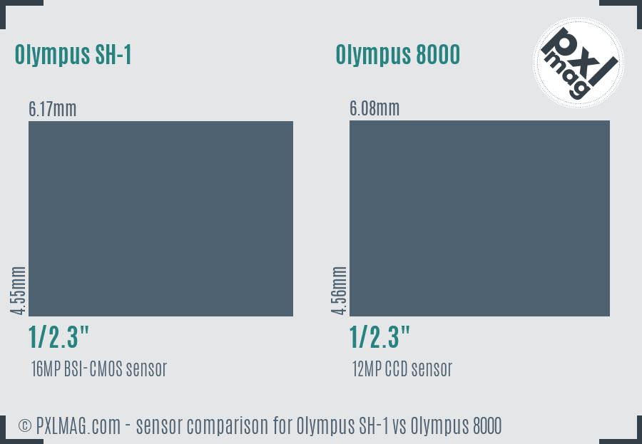 Olympus SH-1 vs Olympus 8000 sensor size comparison