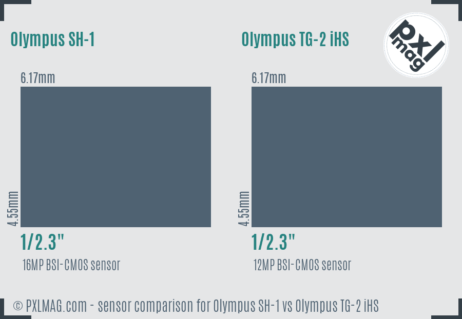 Olympus SH-1 vs Olympus TG-2 iHS sensor size comparison