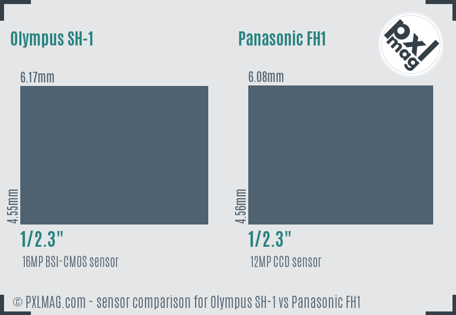Olympus SH-1 vs Panasonic FH1 sensor size comparison