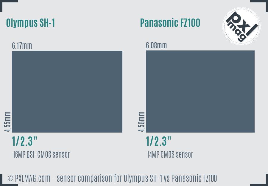 Olympus SH-1 vs Panasonic FZ100 sensor size comparison