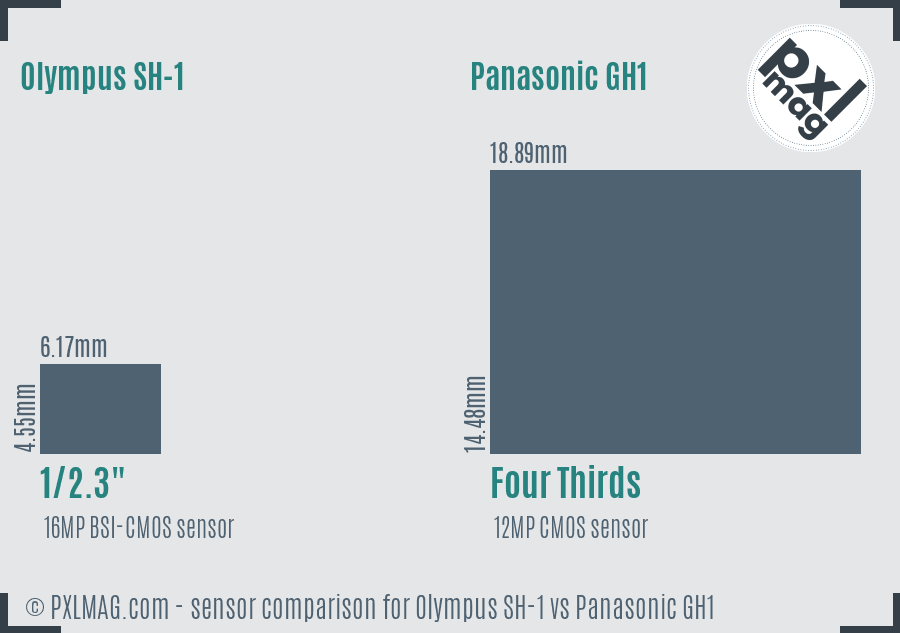 Olympus SH-1 vs Panasonic GH1 sensor size comparison