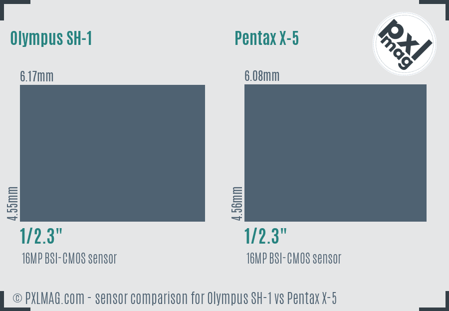Olympus SH-1 vs Pentax X-5 sensor size comparison