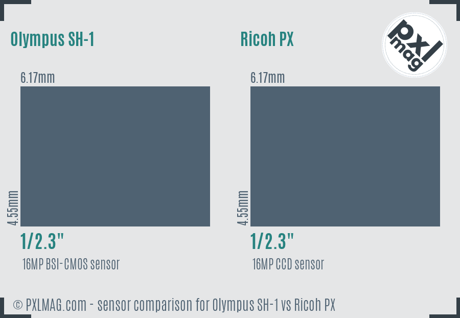 Olympus SH-1 vs Ricoh PX sensor size comparison Olympus SH-1 vs Ricoh PX sensor size comparison