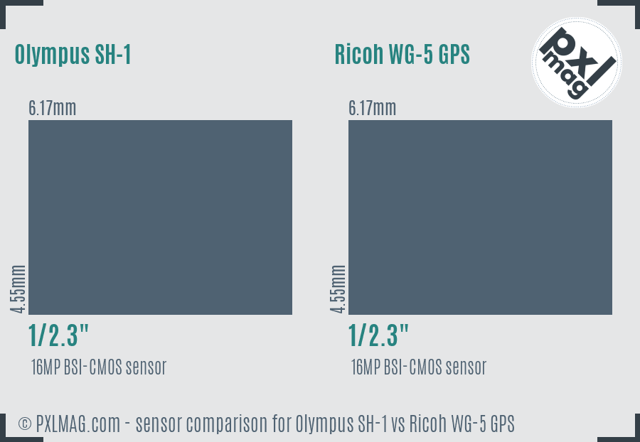 Olympus SH-1 vs Ricoh WG-5 GPS sensor size comparison