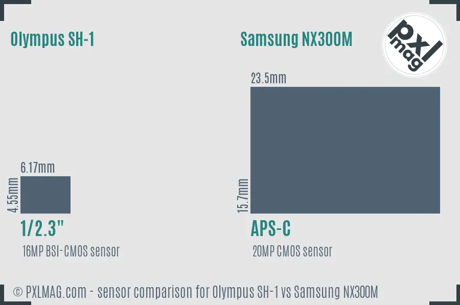 Olympus SH-1 vs Samsung NX300M sensor size comparison