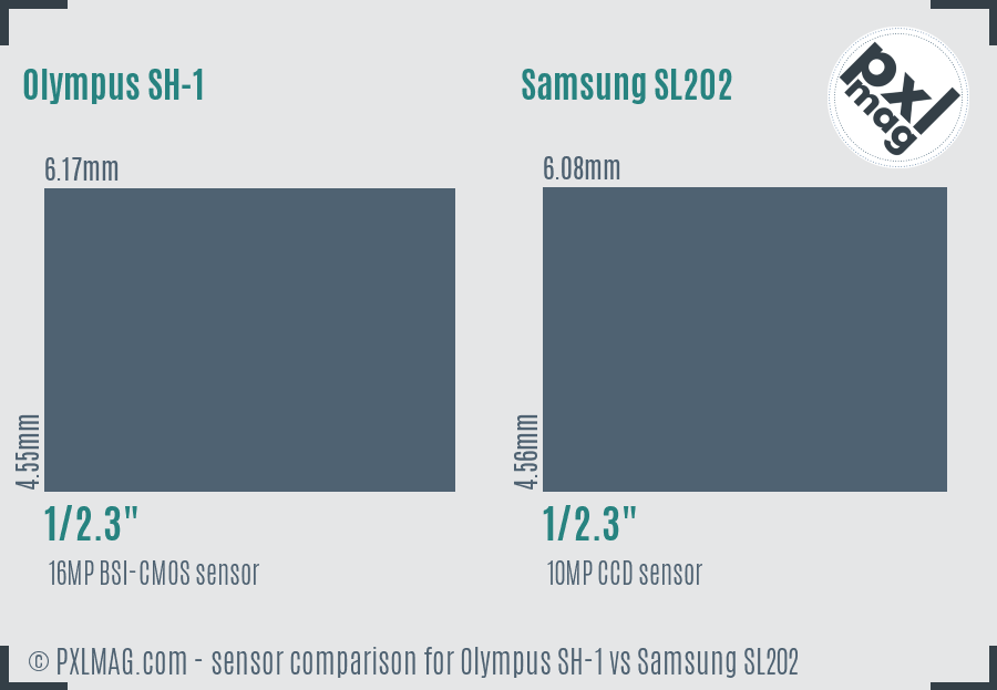Olympus SH-1 vs Samsung SL202 sensor size comparison