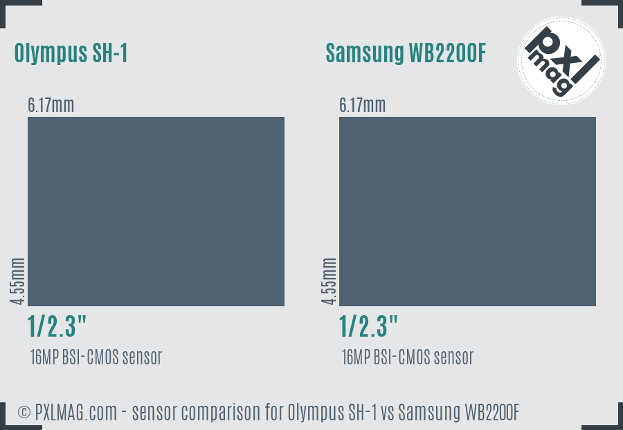 Olympus SH-1 vs Samsung WB2200F sensor size comparison