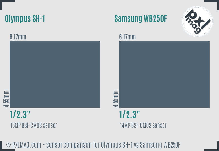 Olympus SH-1 vs Samsung WB250F sensor size comparison